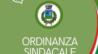 immagine dell'articolo
