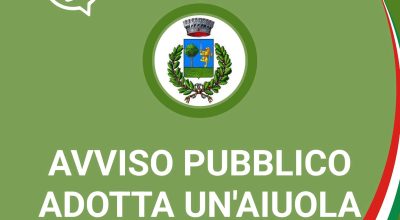 immagine dell'articolo