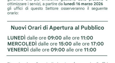 immagine dell'articolo