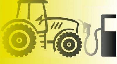 immagine dell'articolo