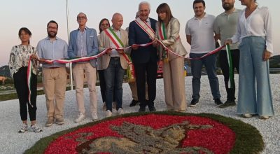 immagine dell'articolo