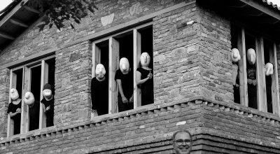 immagine dell'articolo