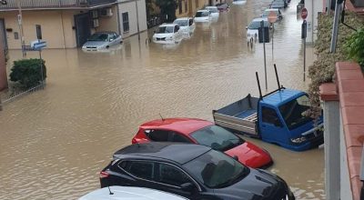 immagine dell'articolo