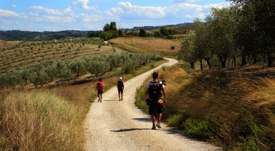 immagine dell'articolo