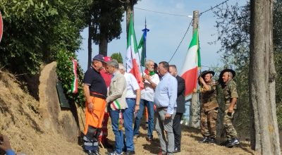 immagine dell'articolo