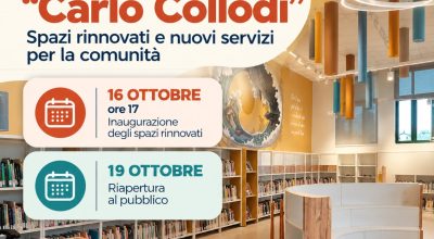 immagine dell'articolo