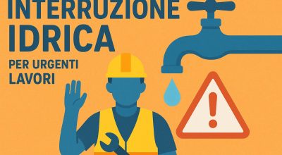 immagine dell'articolo