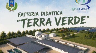 immagine dell'articolo