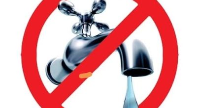 immagine dell'articolo