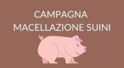 immagine dell'articolo