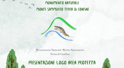 immagine dell'articolo