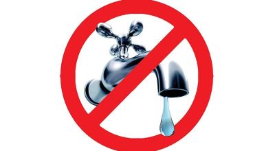 immagine dell'articolo