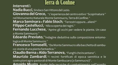 immagine dell'articolo