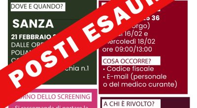 immagine dell'articolo