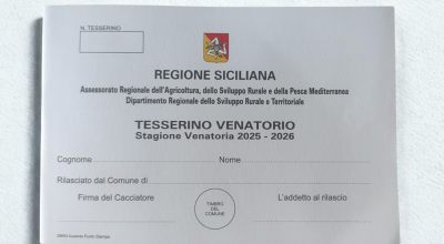 immagine dell'articolo