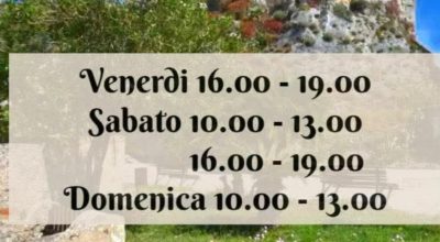 immagine dell'articolo