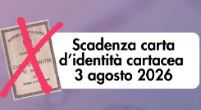 immagine dell'articolo