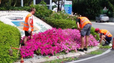 immagine dell'articolo