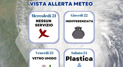 immagine dell'articolo