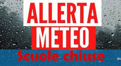 immagine dell'articolo