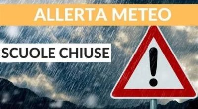 immagine dell'articolo