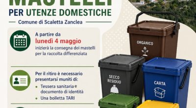 immagine dell'articolo