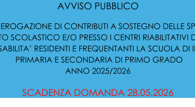 immagine dell'articolo