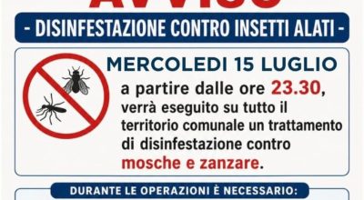 immagine dell'articolo