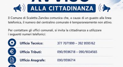 immagine dell'articolo