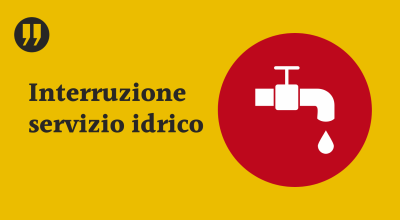 immagine dell'articolo