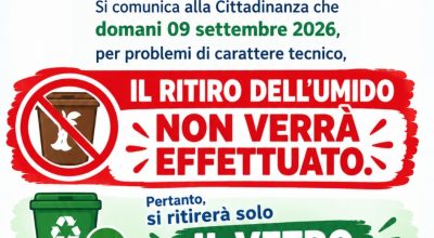 immagine dell'articolo