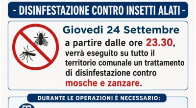 immagine dell'articolo