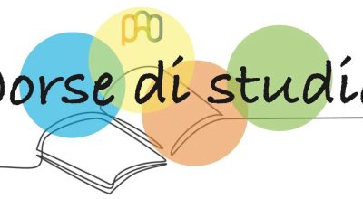 immagine dell'articolo