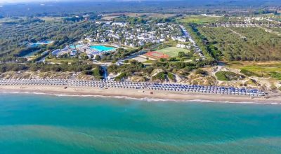 immagine dell'articolo