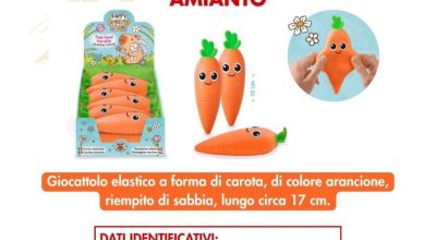 immagine dell'articolo