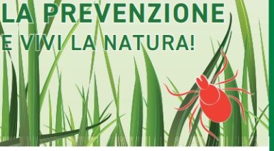 immagine dell'articolo