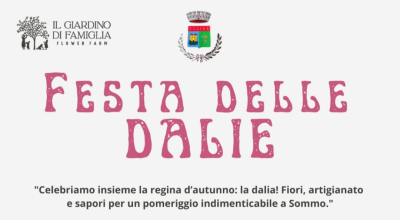 immagine dell'articolo
