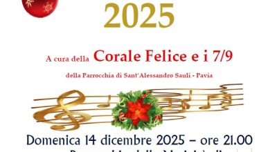 immagine dell'articolo