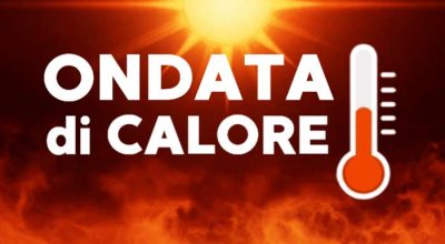 immagine dell'articolo