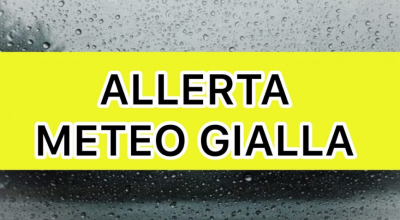 immagine dell'articolo