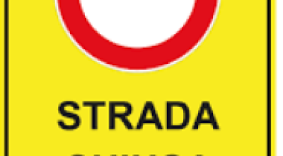 immagine dell'articolo