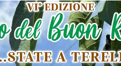 immagine dell'articolo