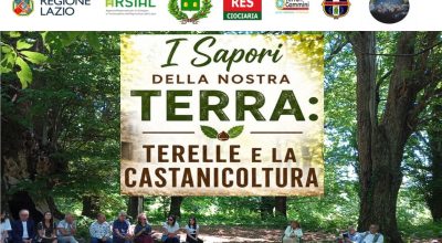 immagine dell'articolo