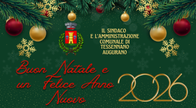 immagine dell'articolo