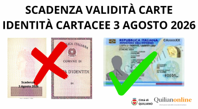 immagine dell'articolo