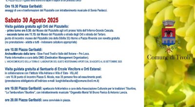 immagine dell'articolo