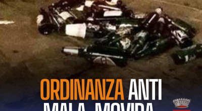 immagine dell'articolo