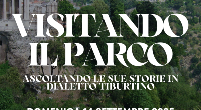 immagine dell'articolo