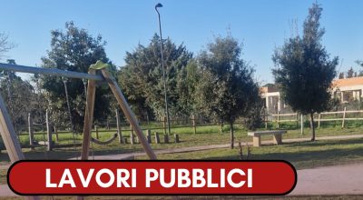 immagine dell'articolo