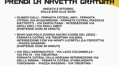 immagine dell'articolo